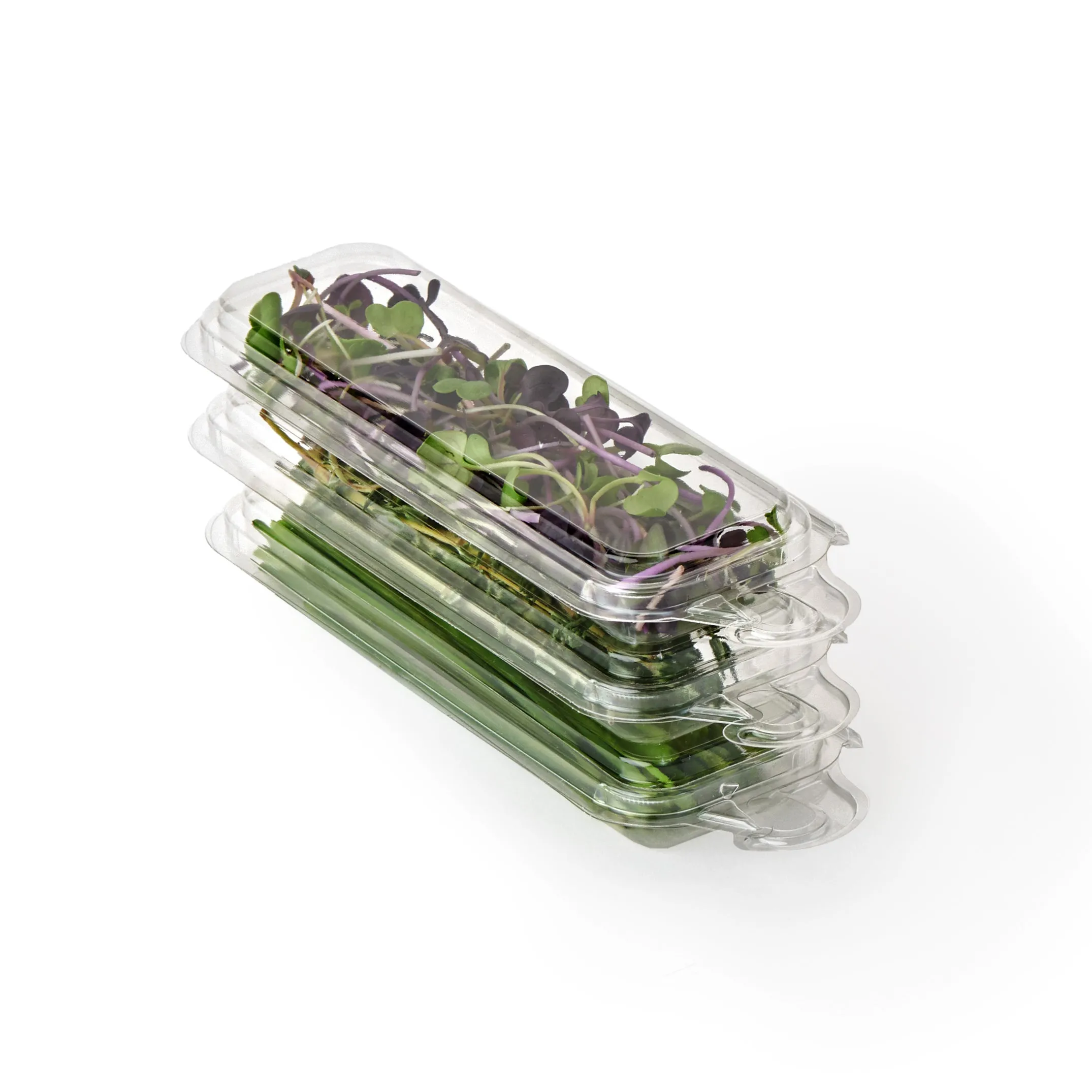 0.25 oz. Hanging Fresh Herb & Microgreen Package (0325)