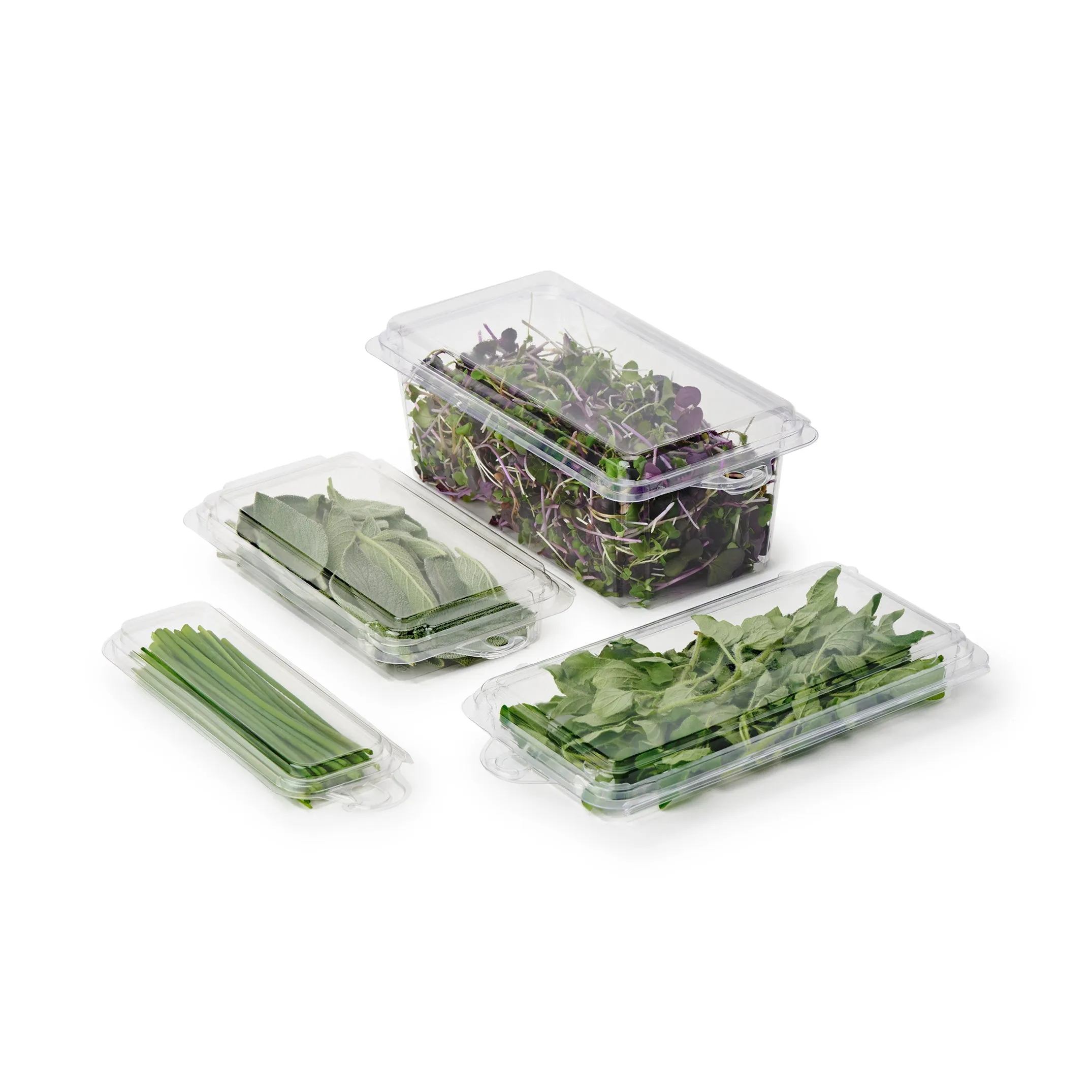 2 - 3 oz. Hanging Herb or Microgreen Package (0412)