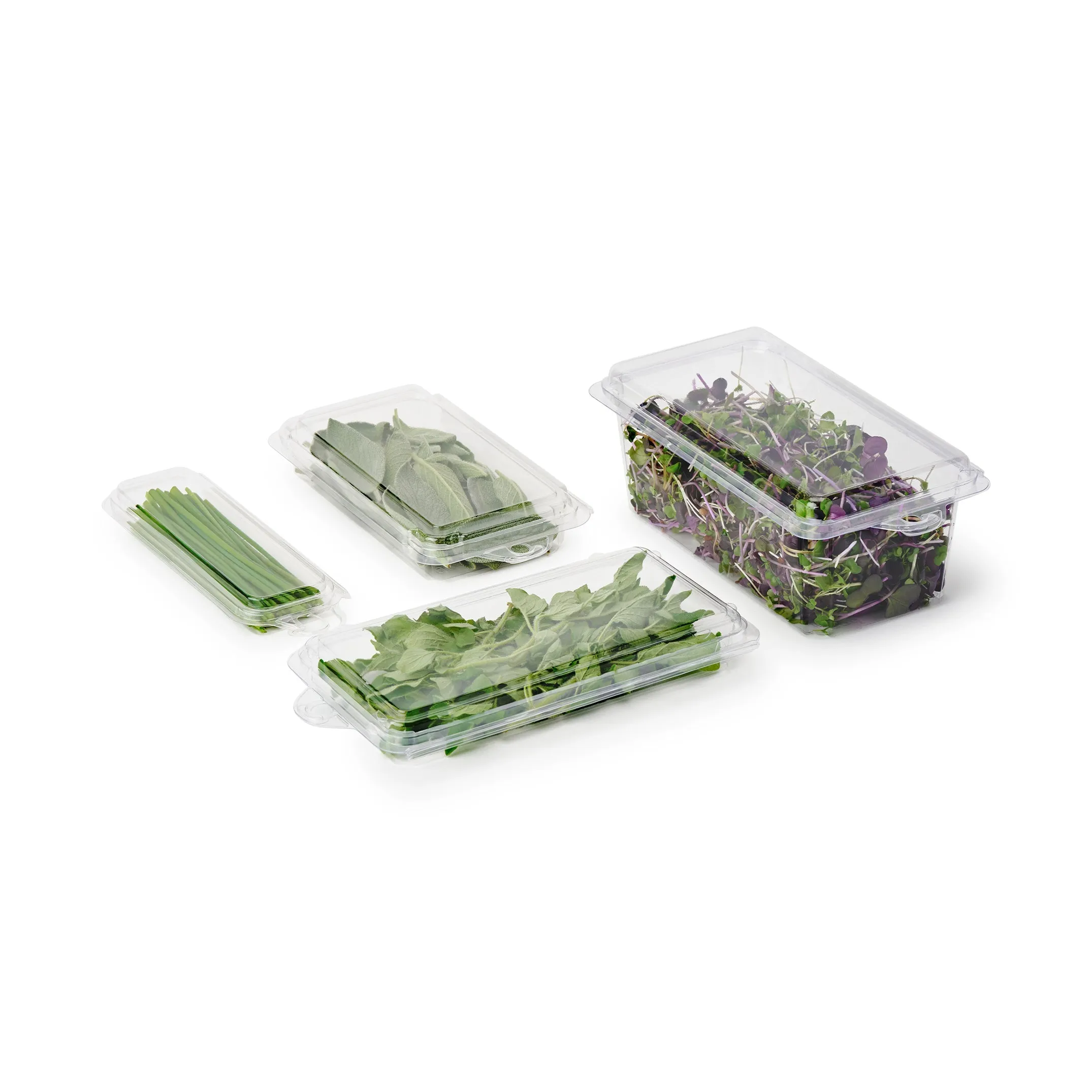 2 - 3 oz. Hanging Herb or Microgreen Package (0412)