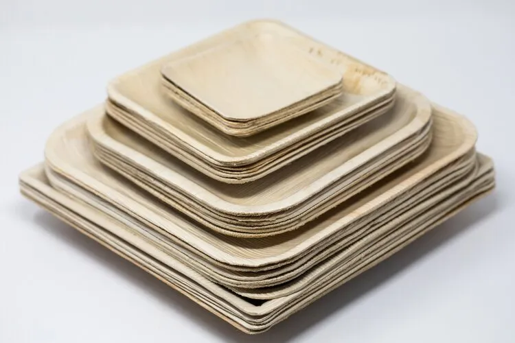 9.5-inch Square Palm Leaf Plate with Round Edges. 200 Count