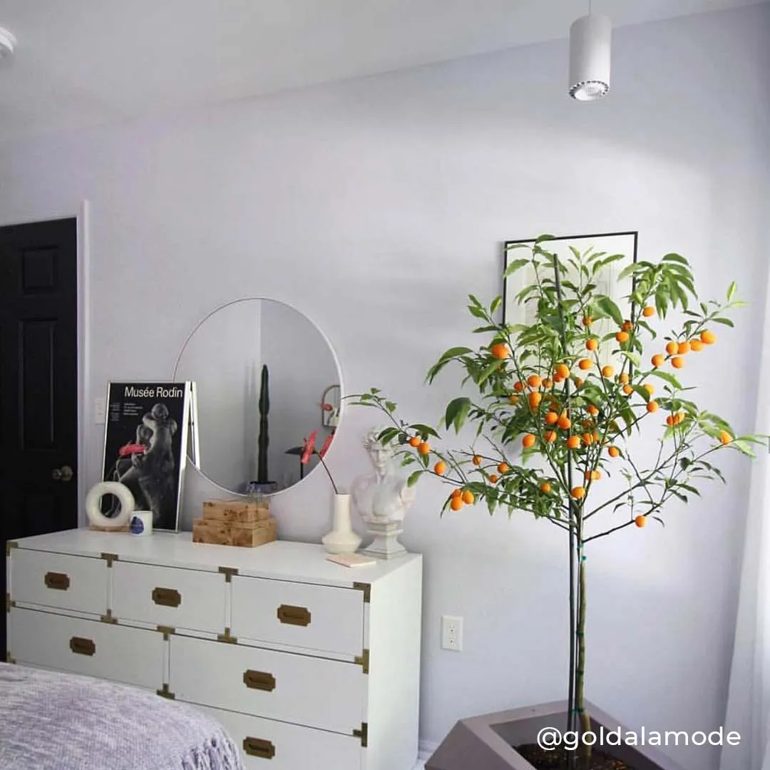 Aspect LED Growlight