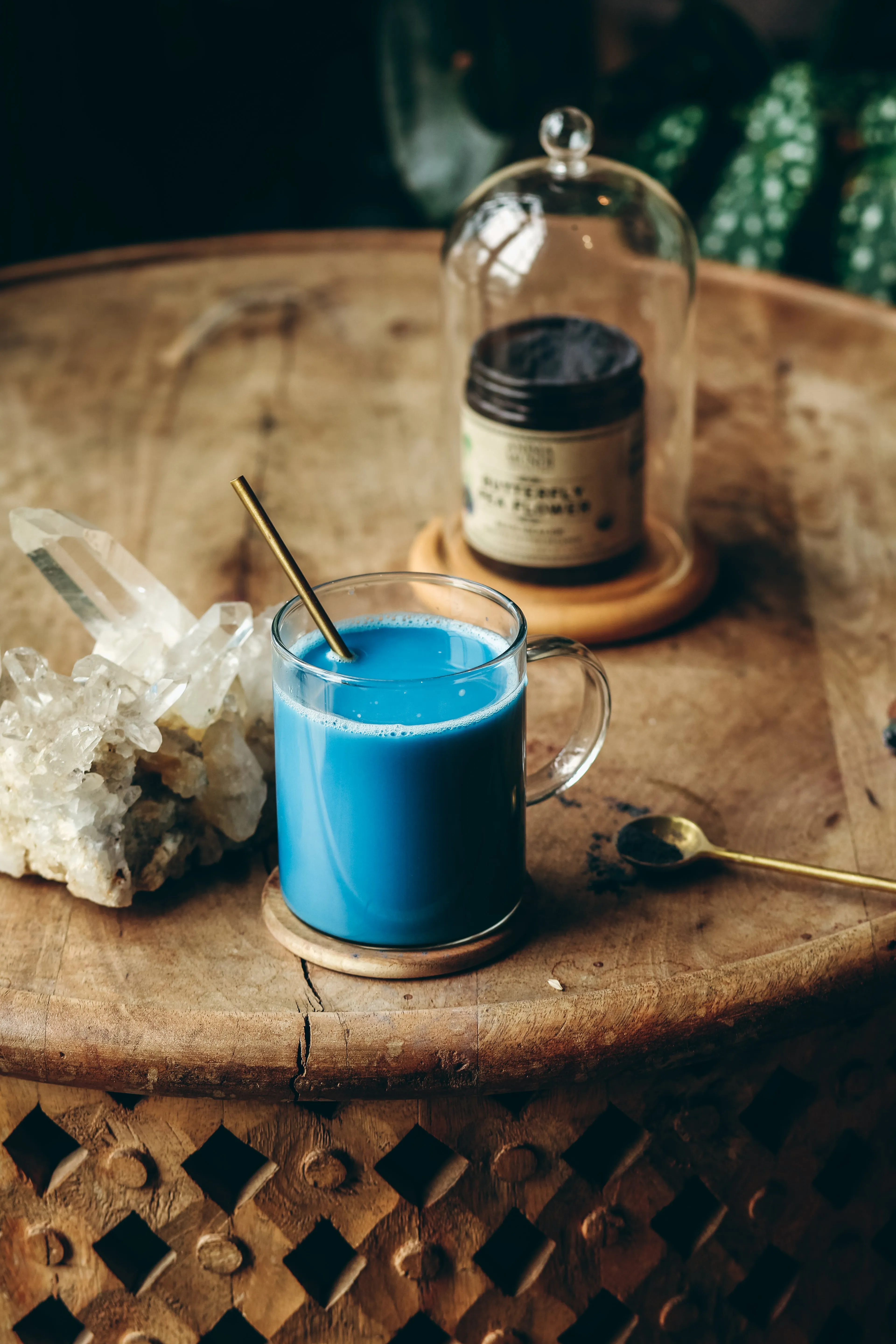 BUTTERFLY PEA FLOWER | Blue Healer