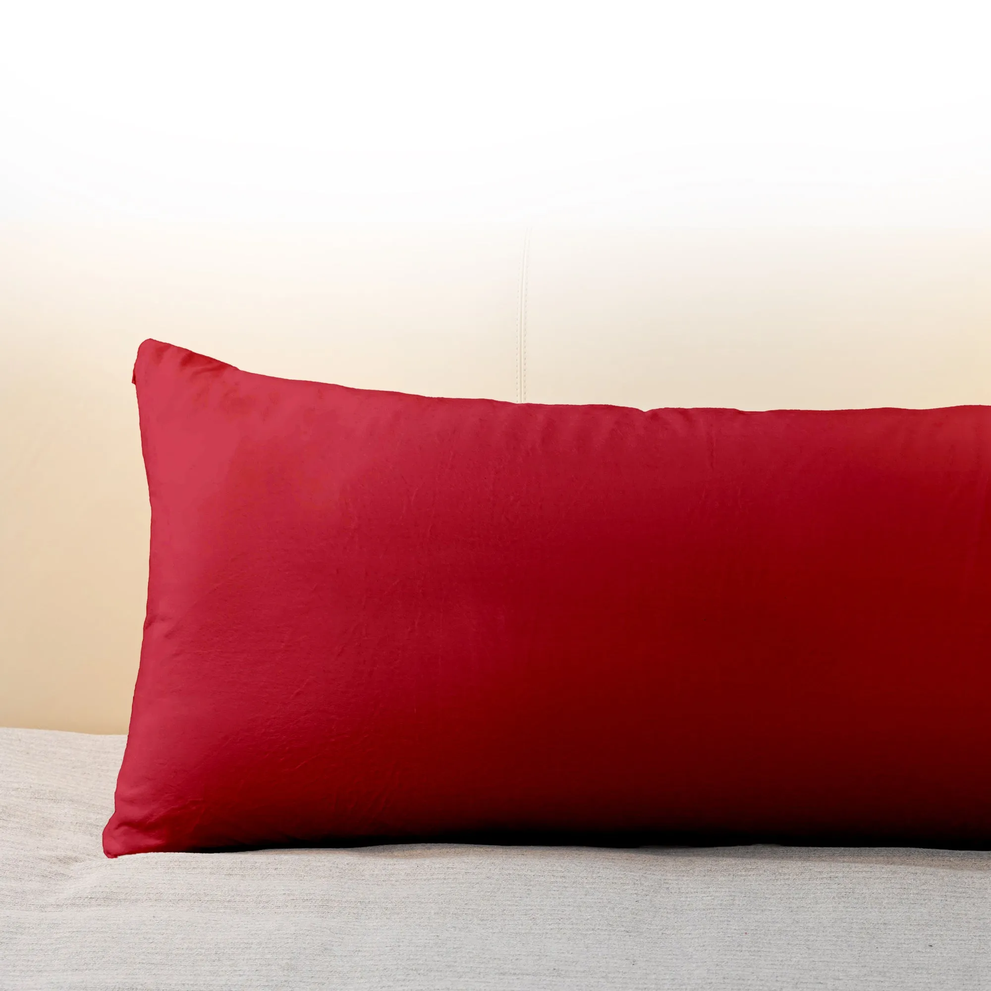 Cheer Collection  Super Soft and Plush Lumbar Pillow for Couch or Bed Decor 20 x 54