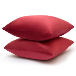Cheer Collection Velour Throw Pillows - Set of 2 Decorative Couch Pillows - 22 x 22