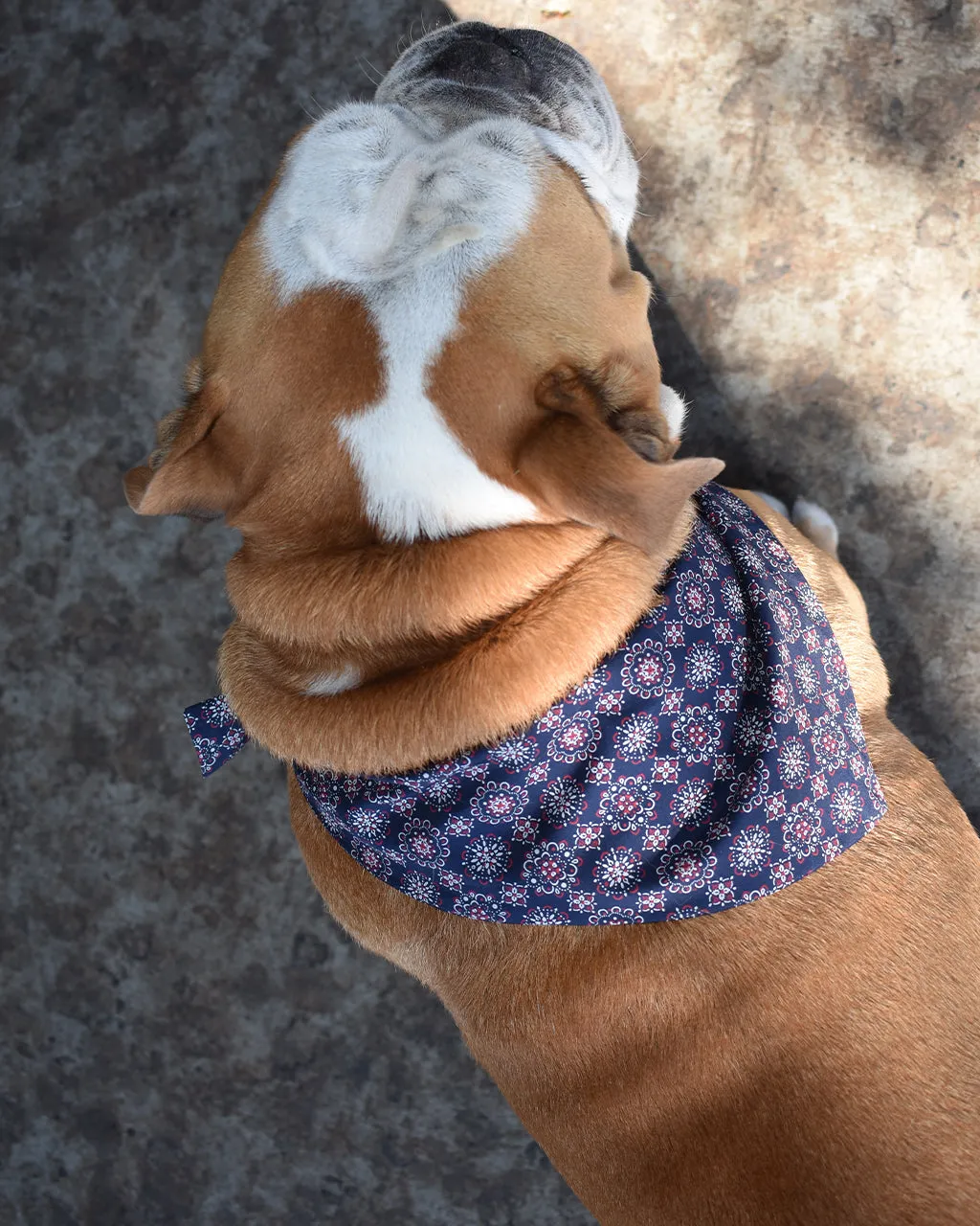 CLASSIC BANDANA by MODERNBEAST