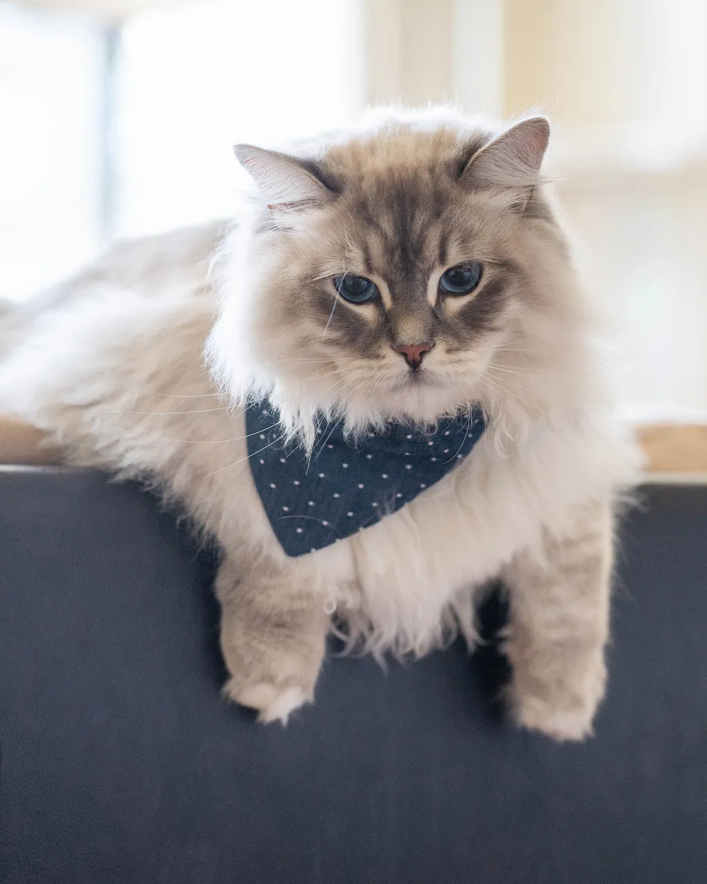 CLASSIC BANDANA by MODERNBEAST