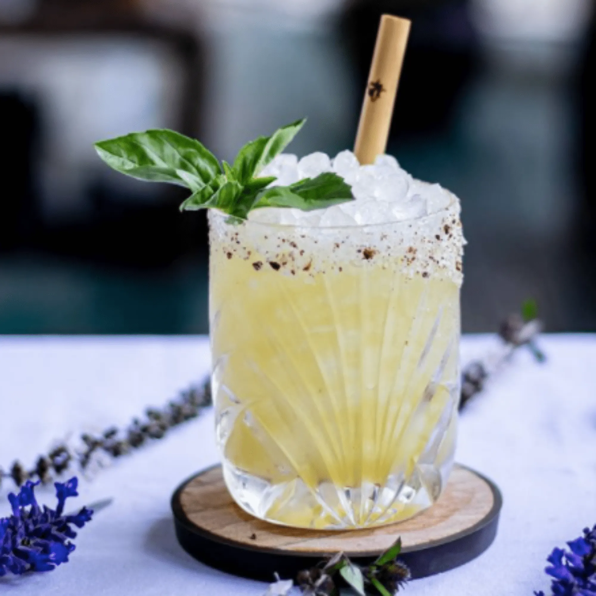 Cocktail Reusable Reed Straws | 5 Pack Bundle by Holy City Straw Company