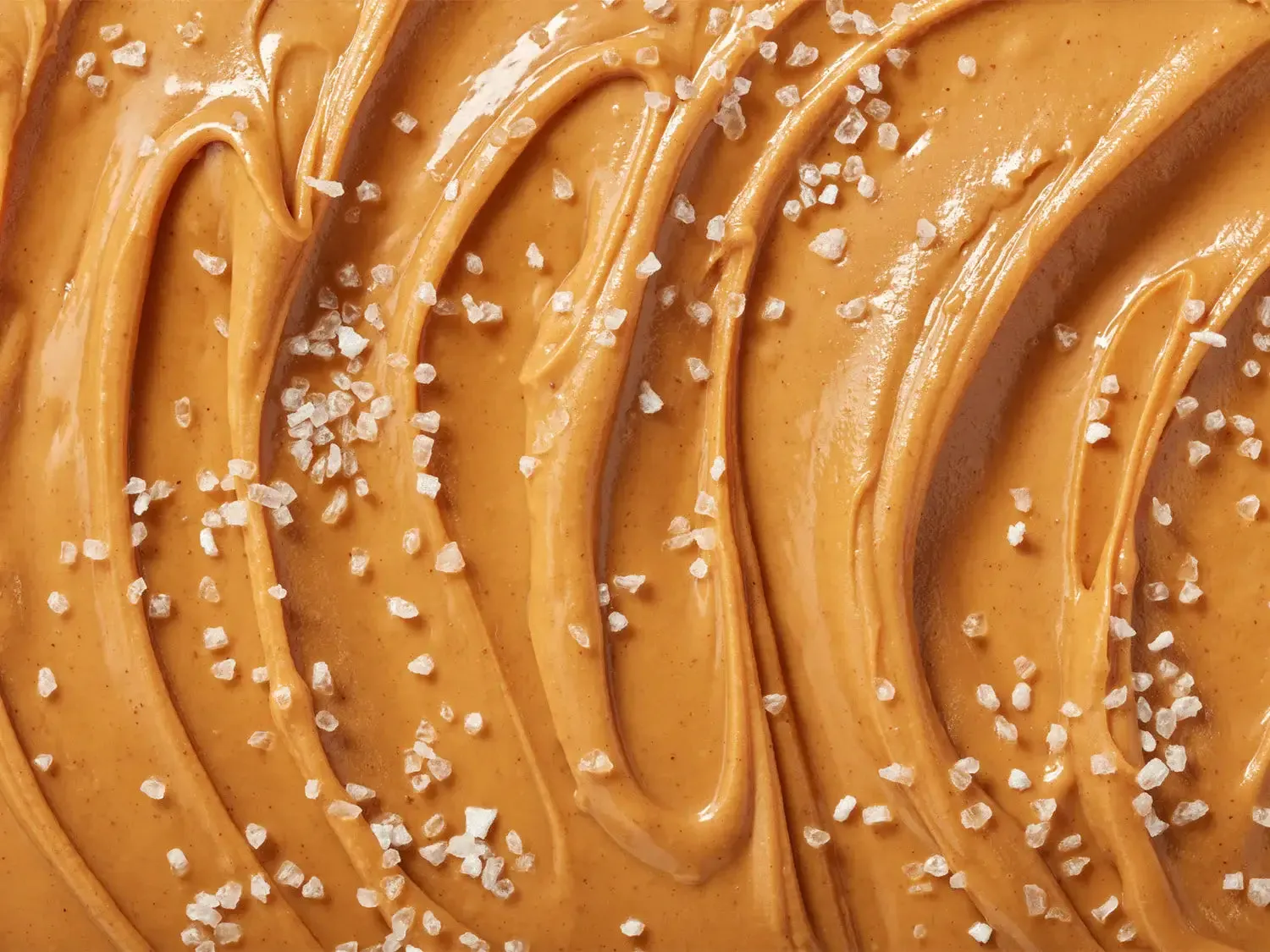 Creamy Peanut Butter & Sea Salt New and Improved Glo Vegan Protein Bars