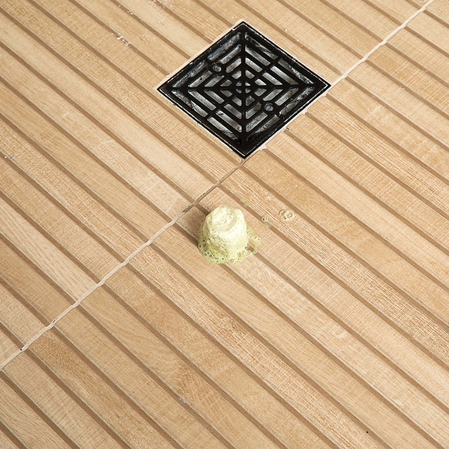 eucalyptus tea tree shower steamer