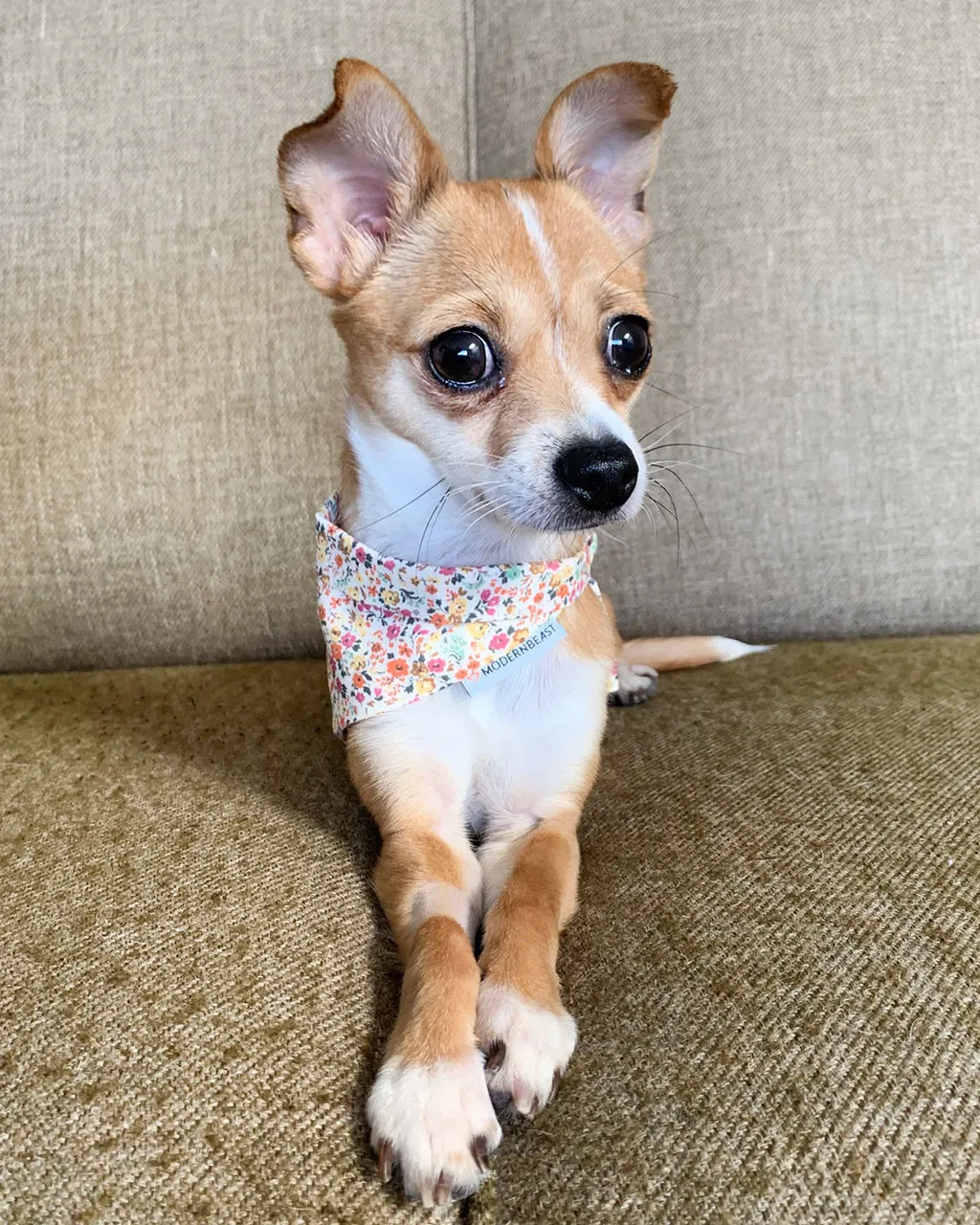 FLORAL BANDANA by MODERNBEAST