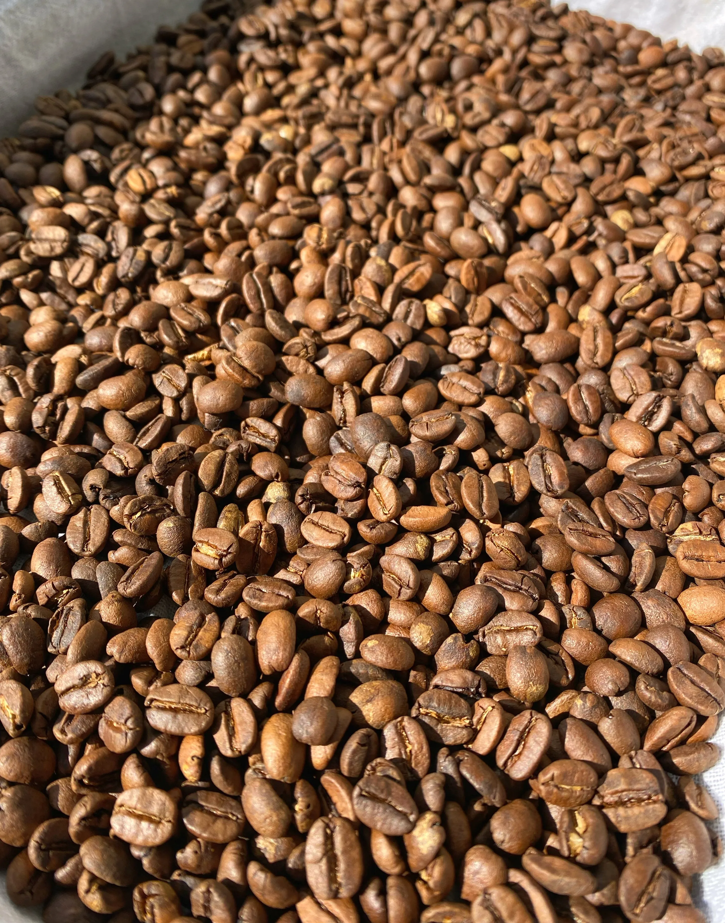 Ground Coffee with Ashwagandha   Cacao: Balanced