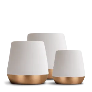 Joey Double Wall Ceramic Mugs