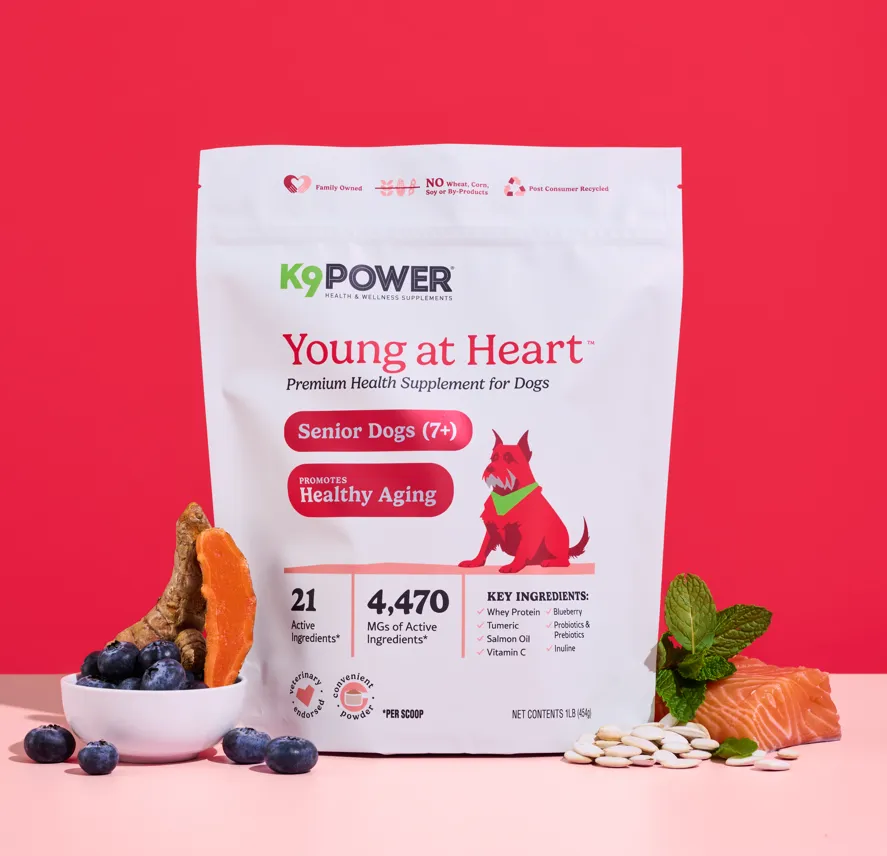 K9 Power - Young At Heart