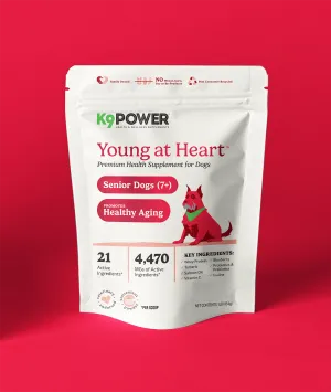 K9 Power - Young At Heart
