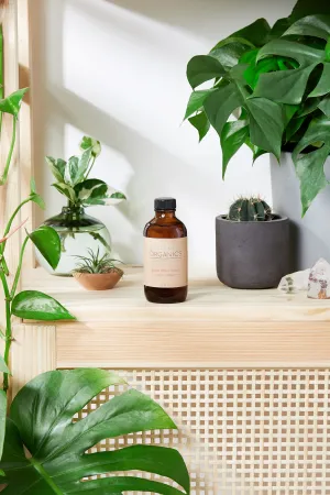 Natural Aged After Shave / Cologne Organic Bay Woodsy / Men's Natural Organic After Shave