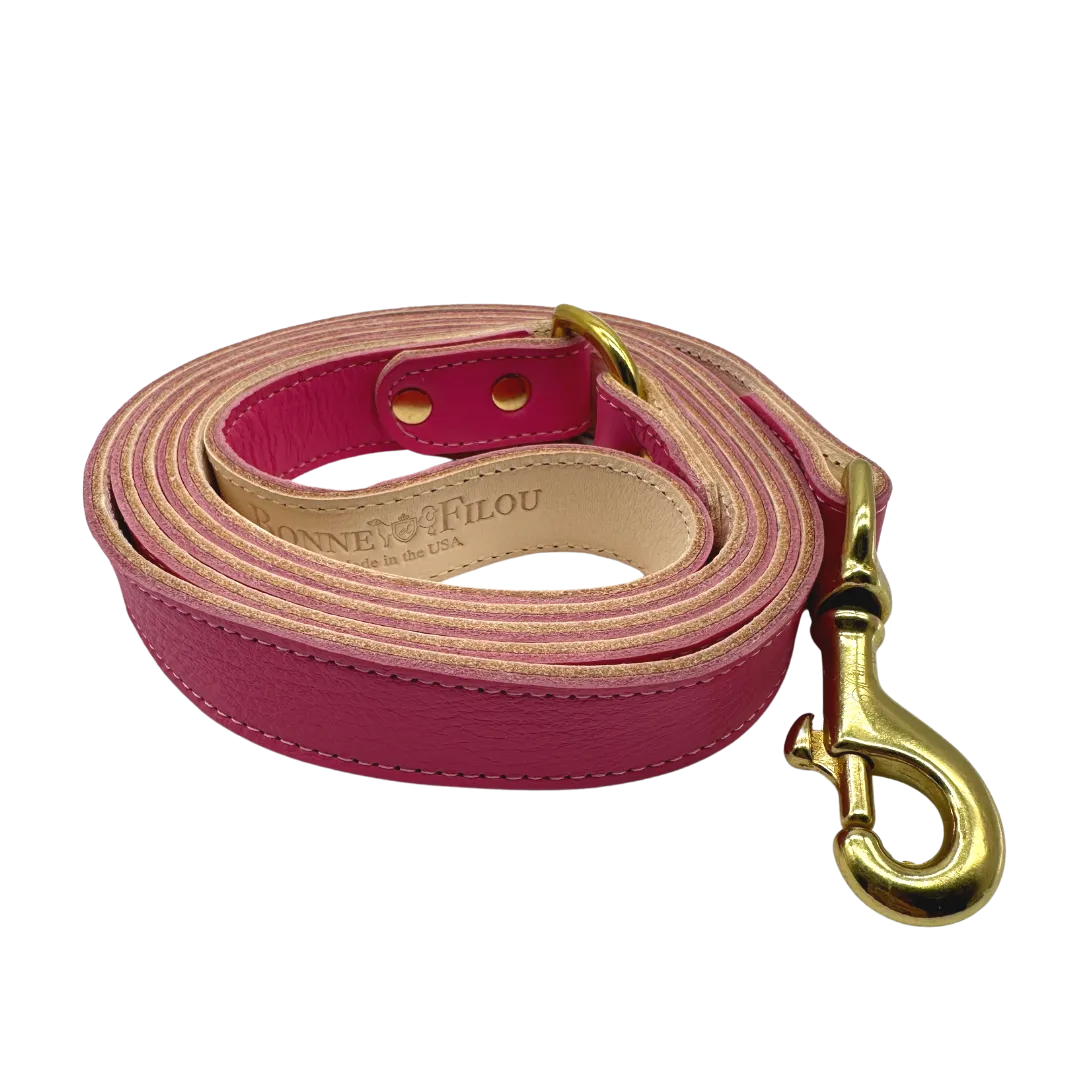 Plain Leather Dog Leashes