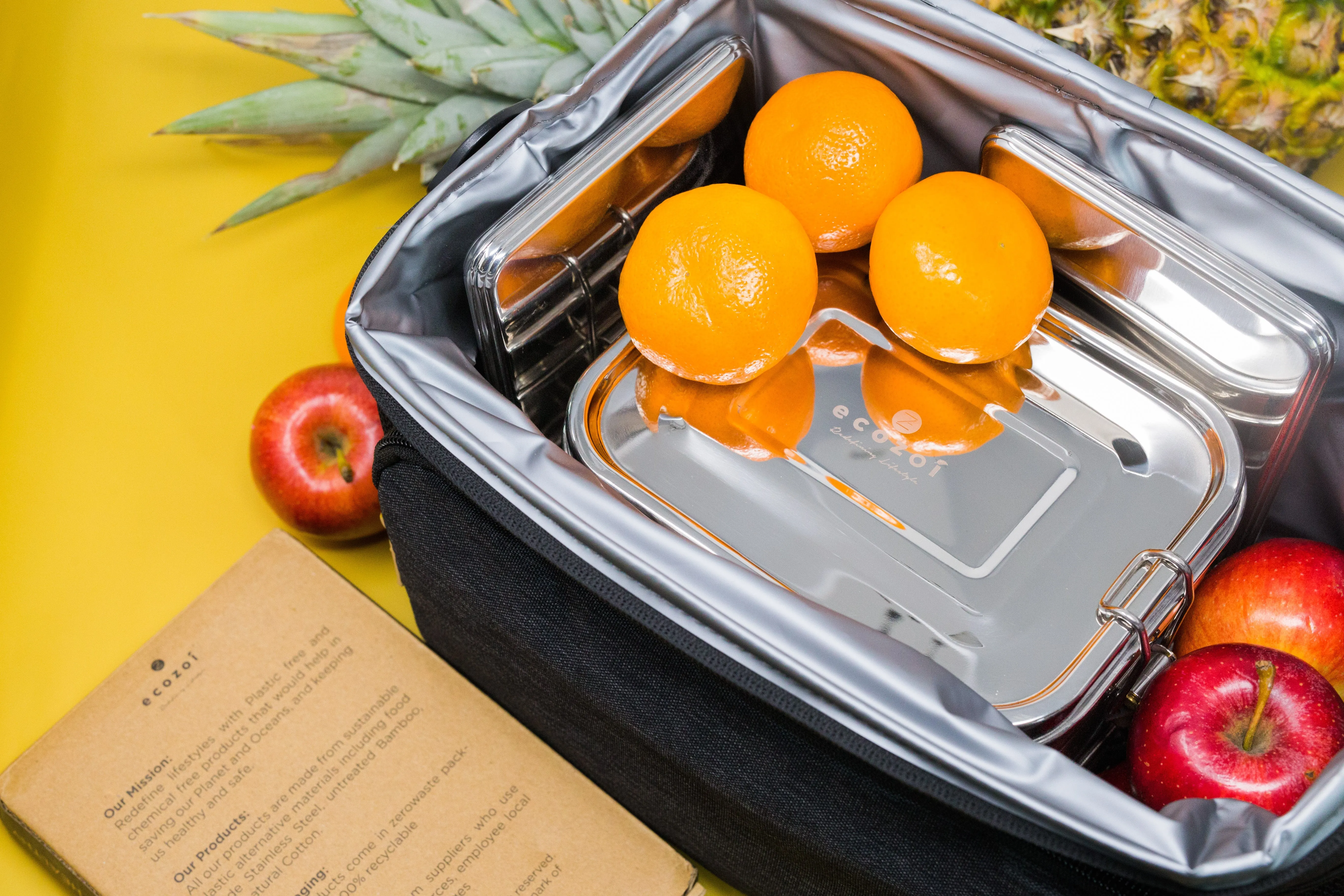 Stainless Steel Freezer PACKS FOR LUNCH Boxes and Lunch Bags. 2 Pack by ecozoi