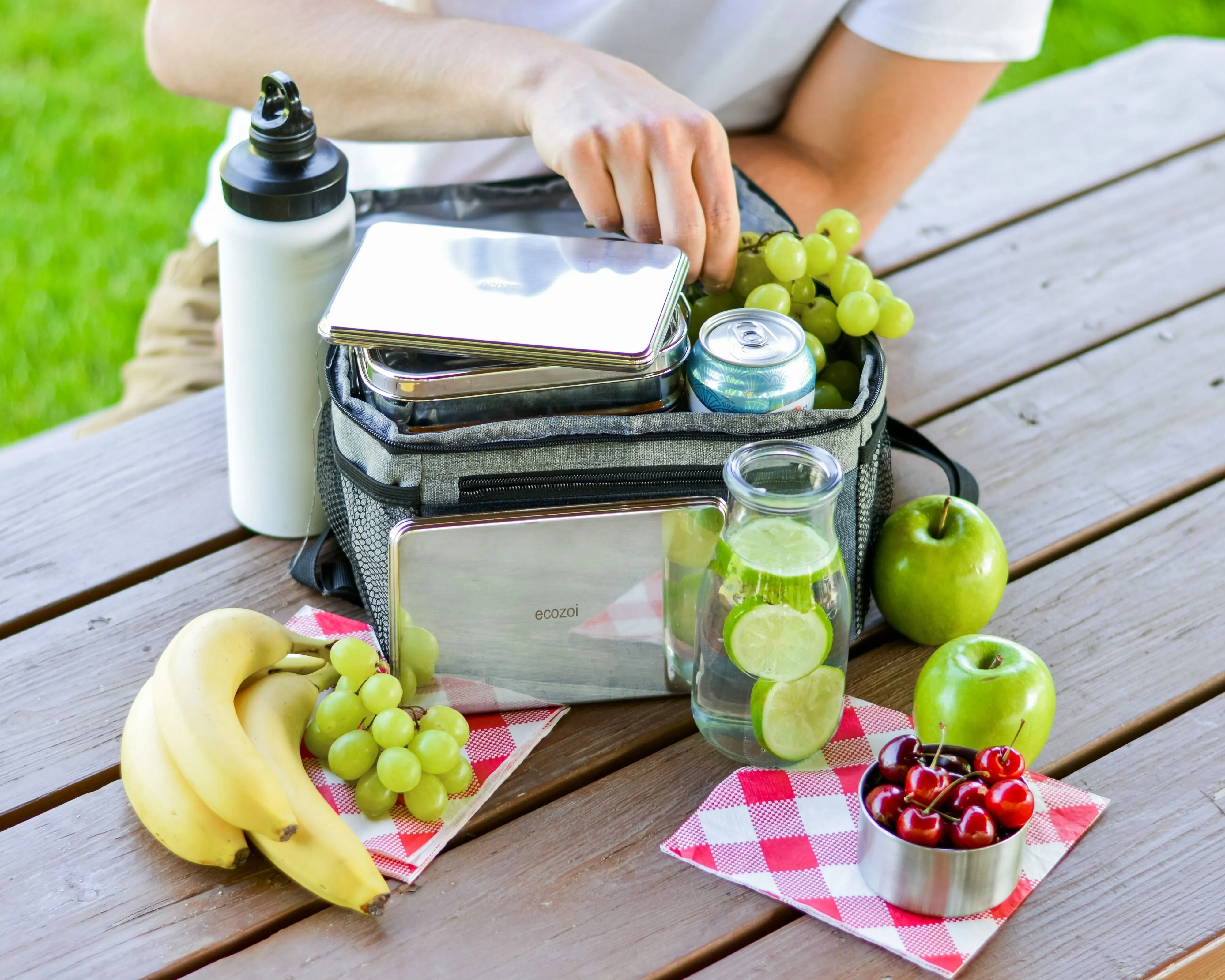 Stainless Steel Freezer PACKS FOR LUNCH Boxes and Lunch Bags. 2 Pack by ecozoi