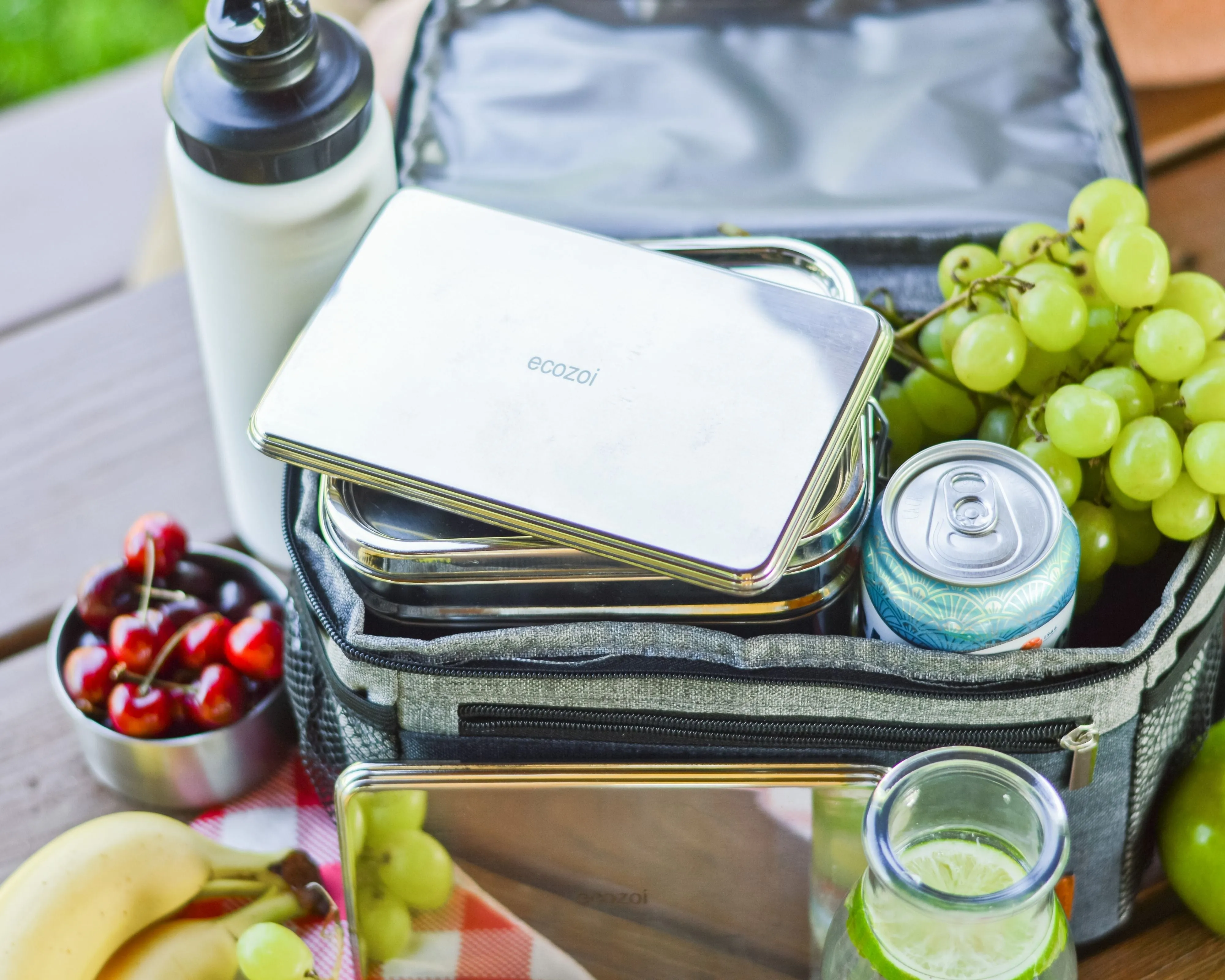 Stainless Steel Freezer PACKS FOR LUNCH Boxes and Lunch Bags. 2 Pack by ecozoi