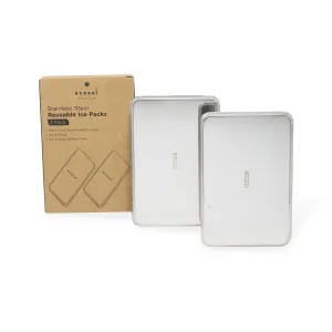 Stainless Steel Freezer PACKS FOR LUNCH Boxes and Lunch Bags. 2 Pack by ecozoi