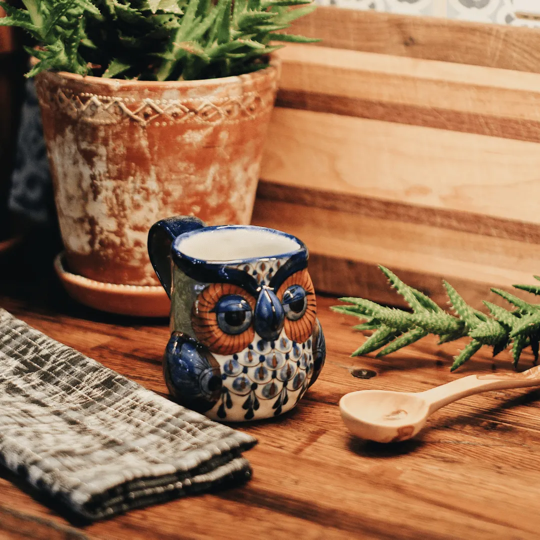 Stoneware Owl Mug by Upavim Crafts
