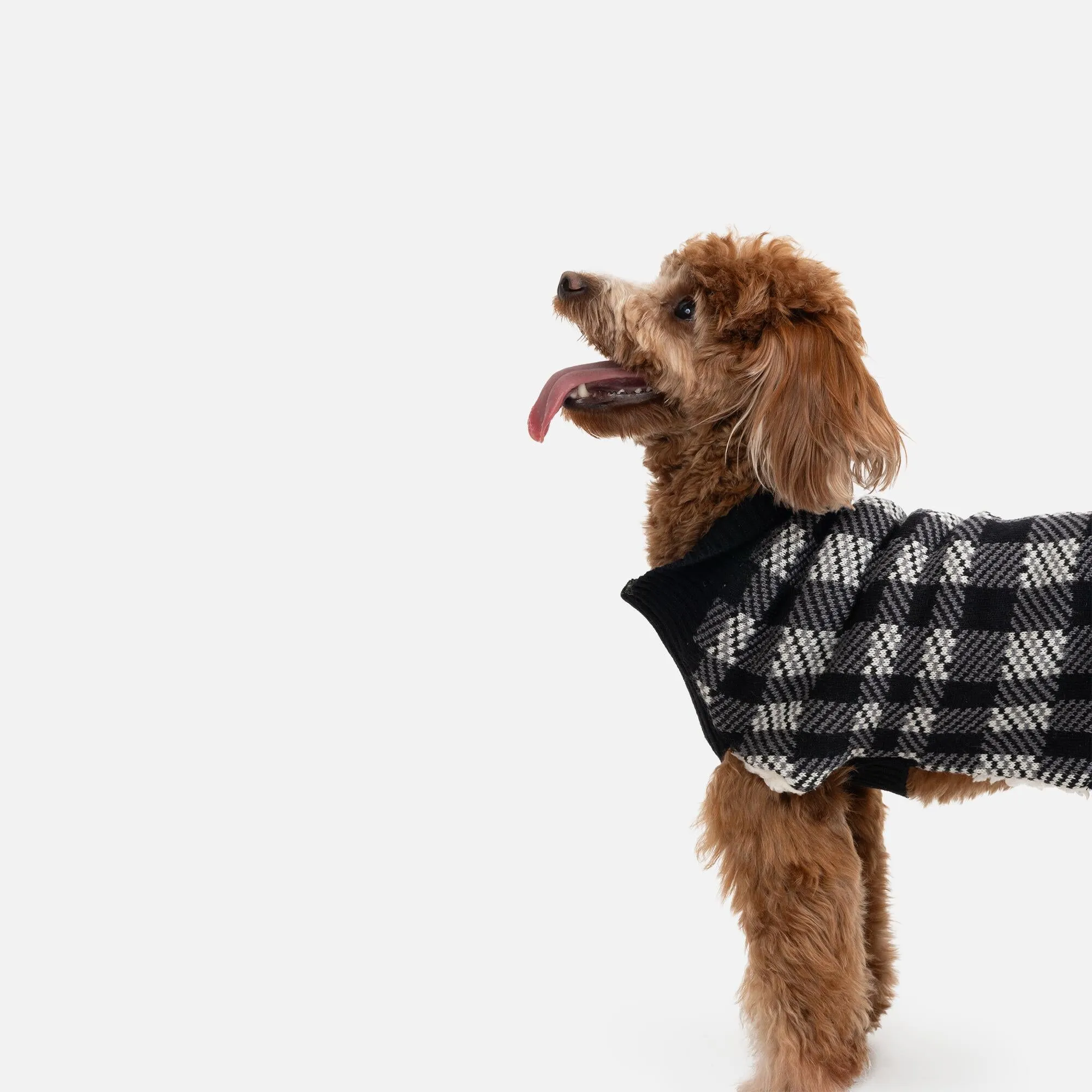 Theo Dog Sweater  Sherpa-Lined Plaid Design