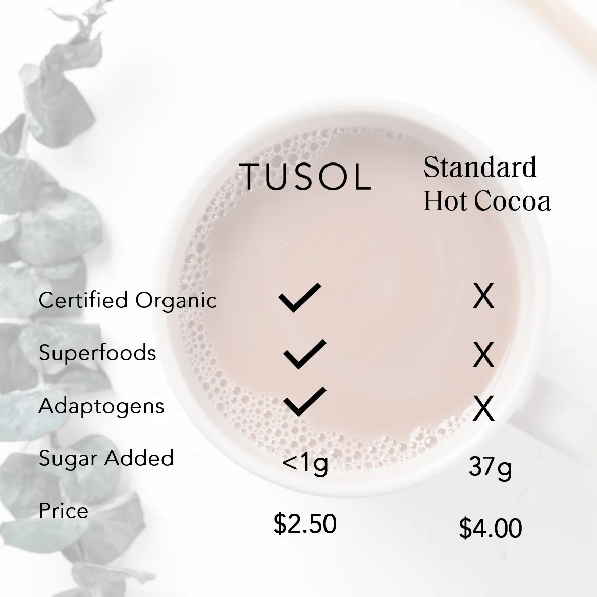 TUSOL Organic Latte Kit by TUSOL Wellness
