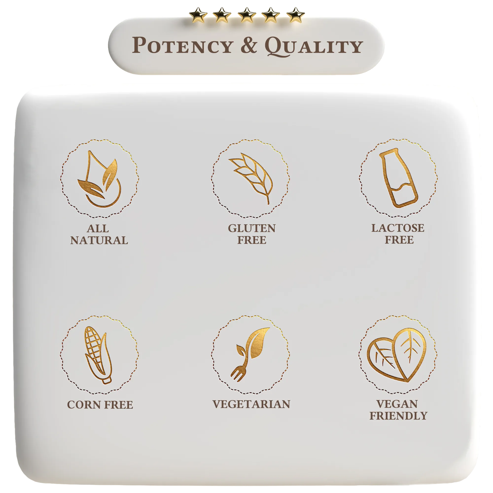 Vegan Protein Chocolate Milkshake by A Quality Life Nutrition