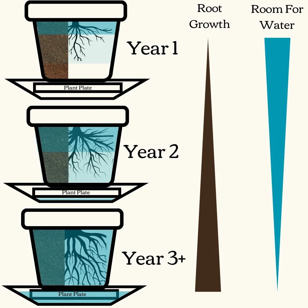 Watering Day System Starter Kit - Bamboo Fiber