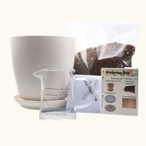 Watering Day System Starter Kit - Bamboo Fiber