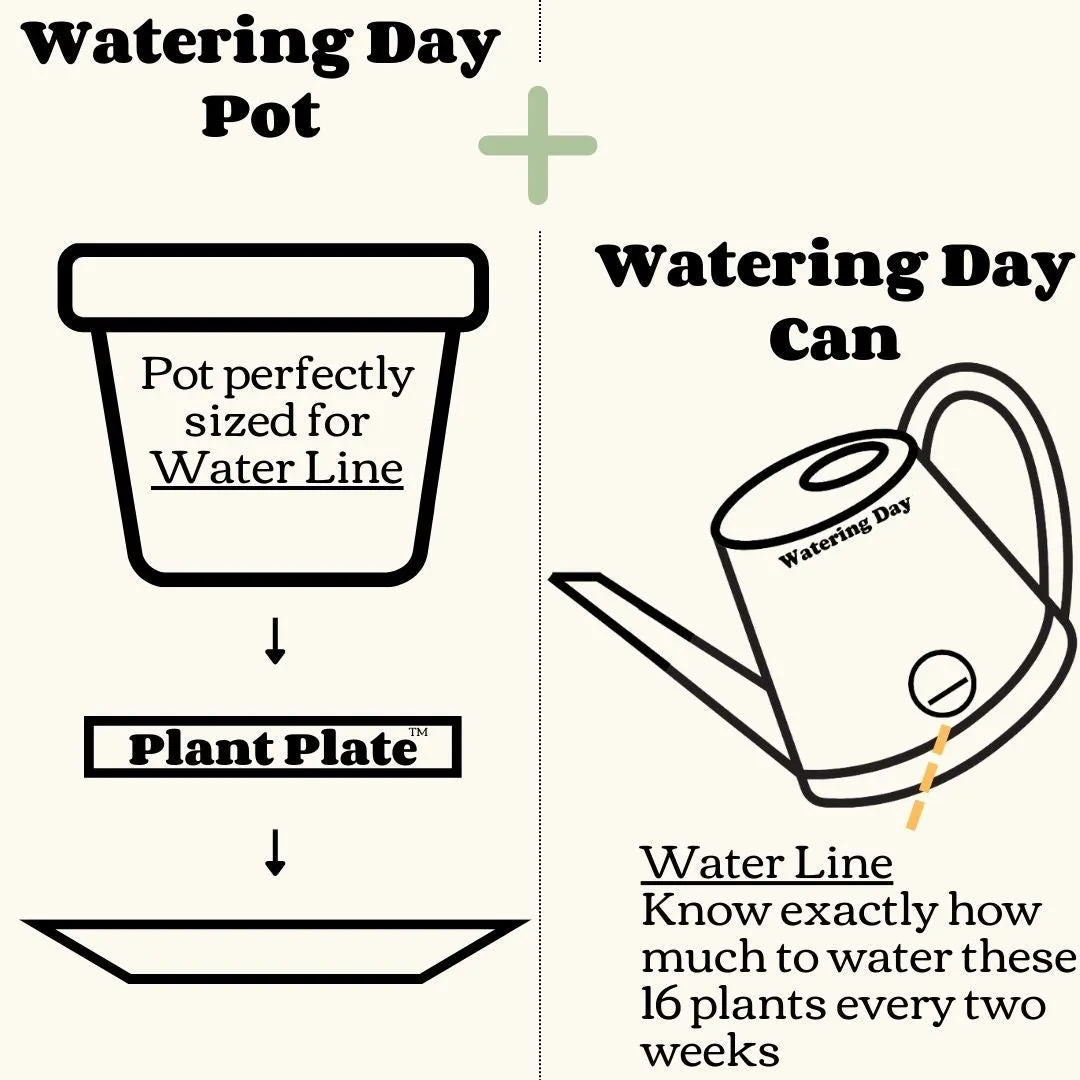 Watering Day System Starter Kit - Bamboo Fiber
