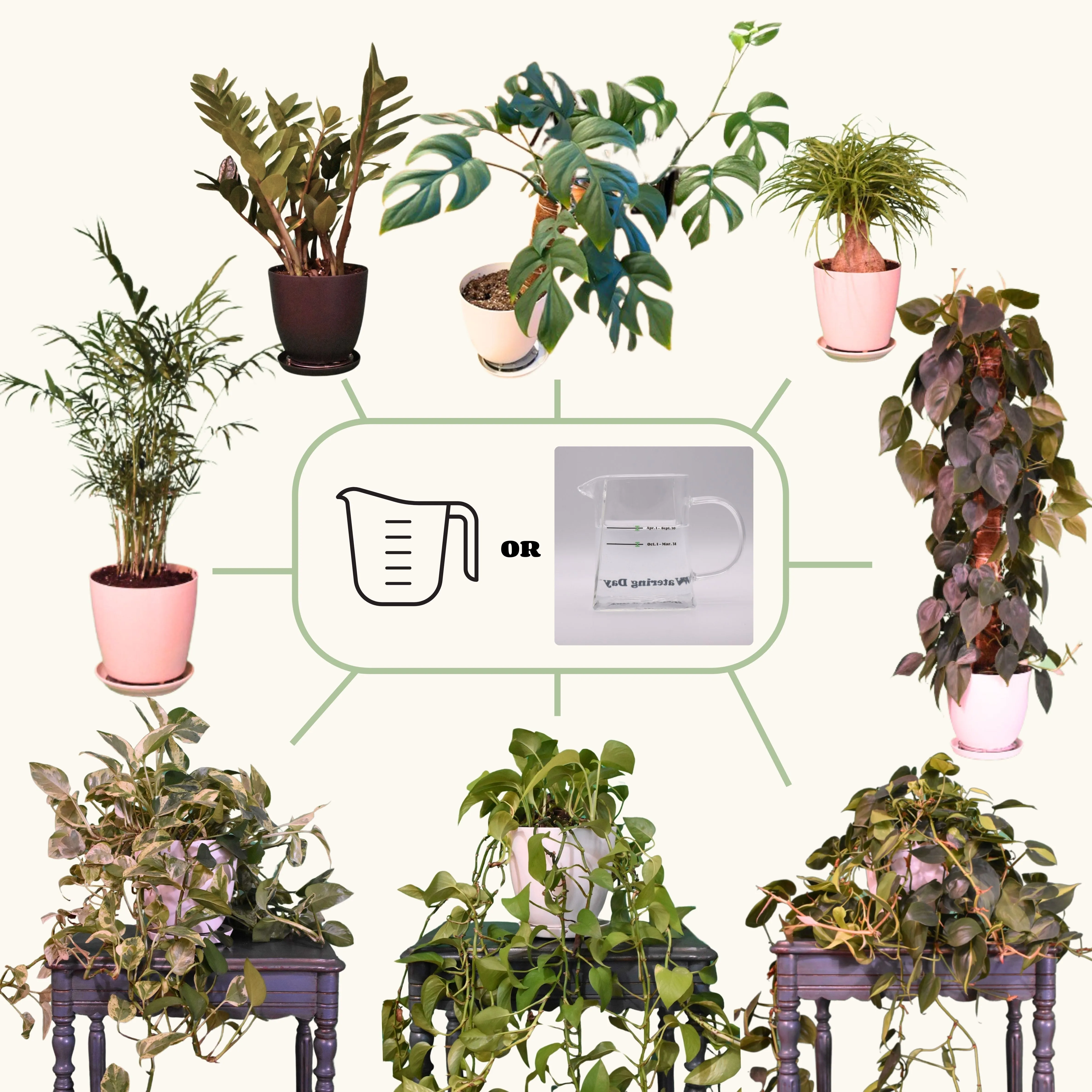Watering Day System Starter Kit - Bamboo Fiber